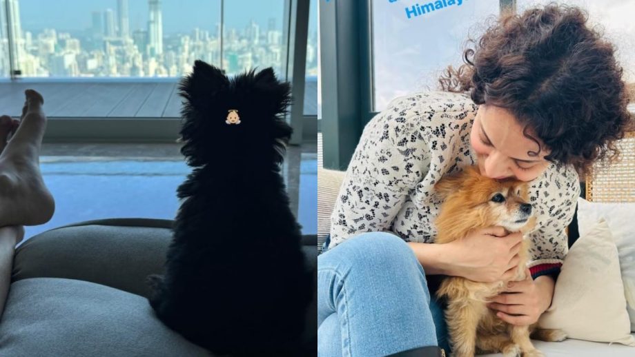 Shanaya Kapoor And Kangana Ranaut Are True Animal Lovers, Take A Look 871328