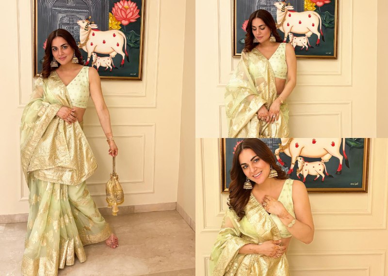 Shraddha Arya's Pastel Organza Saree Can Be Your Pick For Laxmi Pooja This Diwali 867552