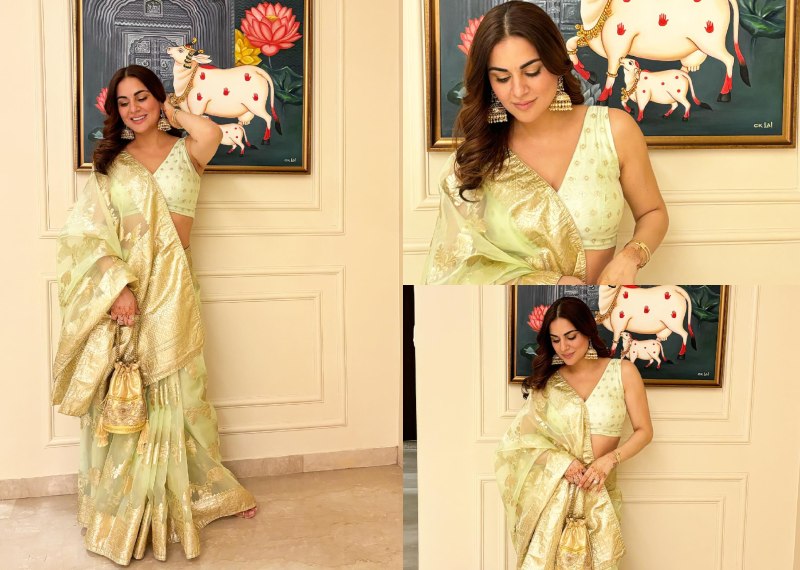 Shraddha Arya's Pastel Organza Saree Can Be Your Pick For Laxmi Pooja This Diwali 867553