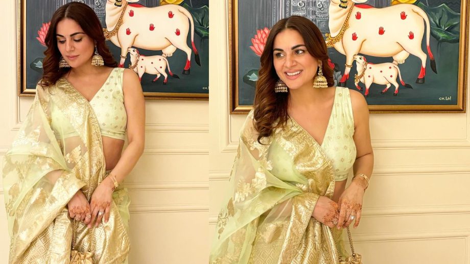 Shraddha Arya's Pastel Organza Saree Can Be Your Pick For Laxmi Pooja This Diwali 867556