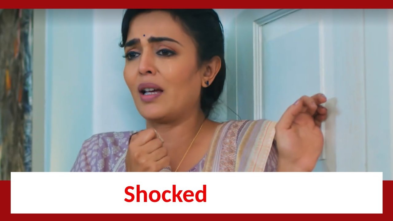 Yeh Rishta Kya Kehlata Hai: Akshara shocked to see her family 868512