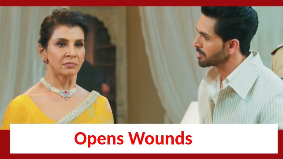 Yeh Rishta Kya Kehlata Hai Spoiler: Dadisa opens Armaan's wounds of the past 869346