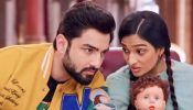 Bhagya Lakshmi spoiler: Rishi saves Lakshmi from the snake attack