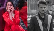 Bigg Boss 17 spoiler: Ayesha Khan breaks down in tears, tells Munawar Faruqui 'zindagi bhar shakal mat dikhana' 876151