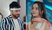 Dalchini Episode 48 Spoiler: Dalchini gets a gift from Tej