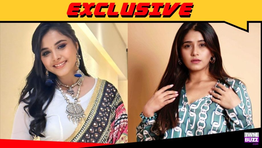 Exclusive: Chandni Bhagwanani to replace Muskan Bamne as Pakhi in Anupamaa? 875279