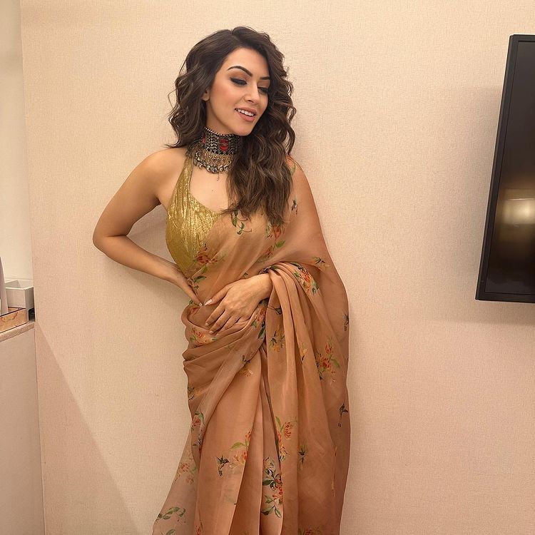 Hansika Motwani's Must-Have Exquisite Sarees Collection 872113