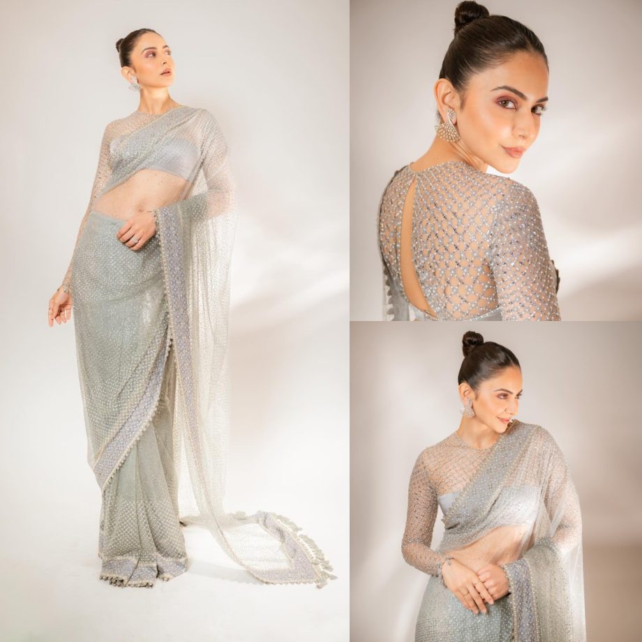 In Photos: Rakul Preet Singh Spreads Her Charm In Pastel Sheer Saree 875284