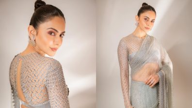 In Photos: Rakul Preet Singh Spreads Her Charm In Pastel Sheer Saree