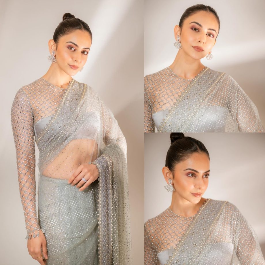 In Photos: Rakul Preet Singh Spreads Her Charm In Pastel Sheer Saree 875283