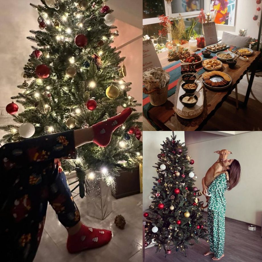 Inside Jennifer Winget’s purrfect Christmas celebrations 875698