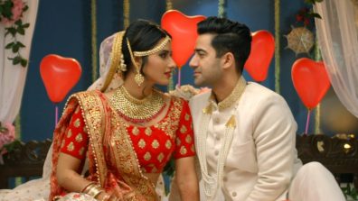 Is Ashwin and Deepti’s marriage on the brink of separation in Sony SAB’s ‘Pushpa Impossible’?