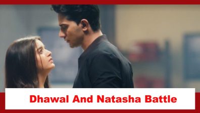 Pandya Store Spoiler: Dhawal and Natasha battle the stress of divorce