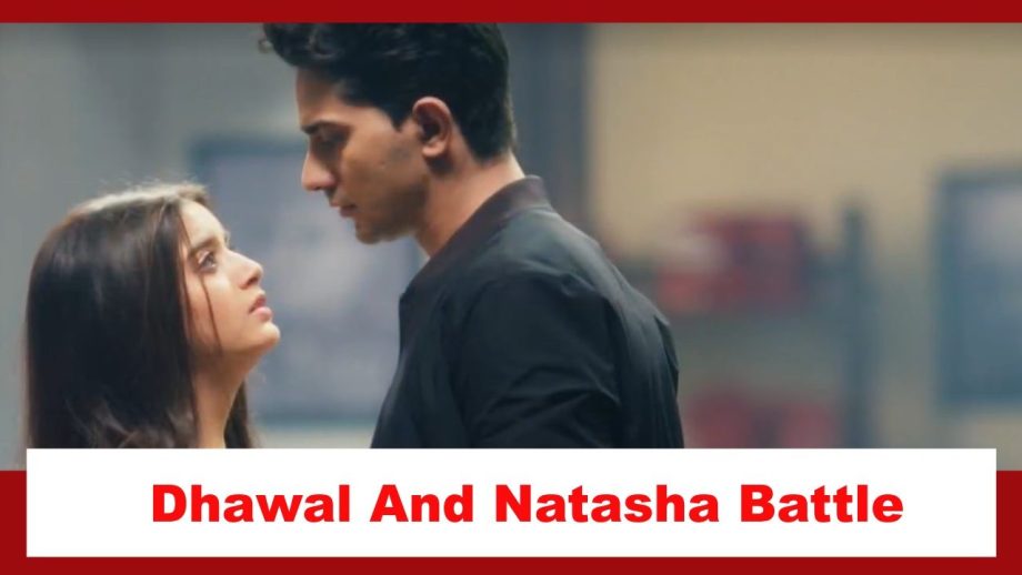 Pandya Store Spoiler: Dhawal and Natasha battle the stress of divorce 873958