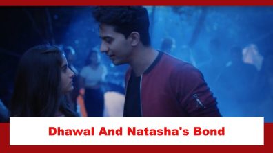 Pandya Store Spoiler: Dhawal and Natasha’s eternal bond