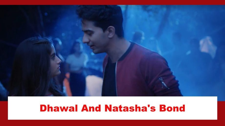 Pandya Store Spoiler: Dhawal and Natasha's eternal bond 874534