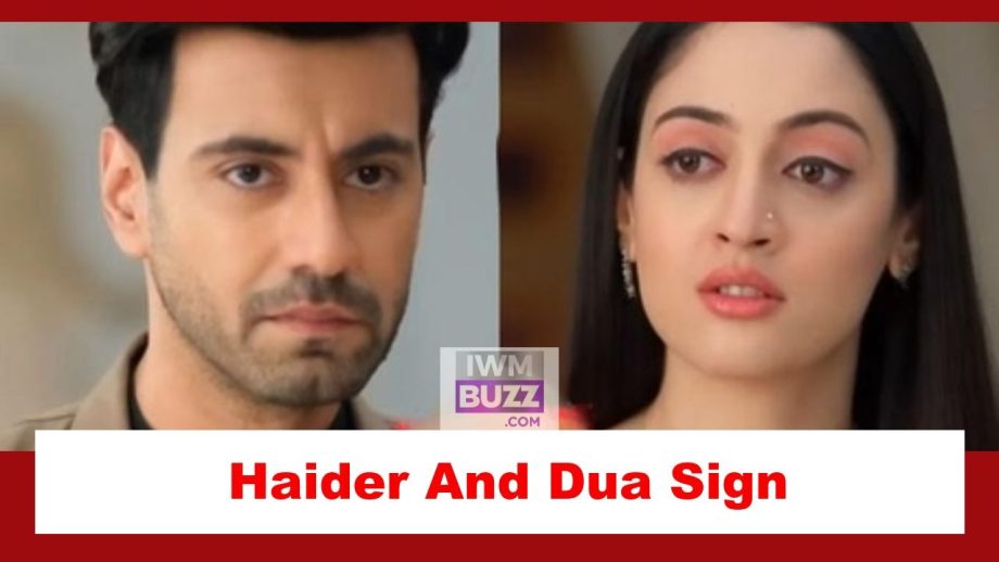 Rabb Se Hai Dua Spoiler: Haider and Dua get divorced 873903