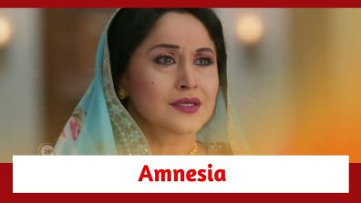 Rabb Se Hai Dua Spoiler: Heena suffers from partial amnesia