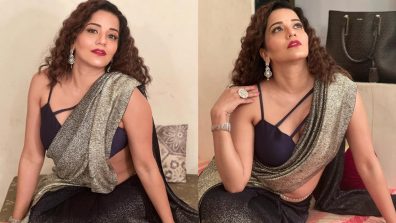 Super Sensuous: Monalisa stuns in glittery saree and deep neck blouse design