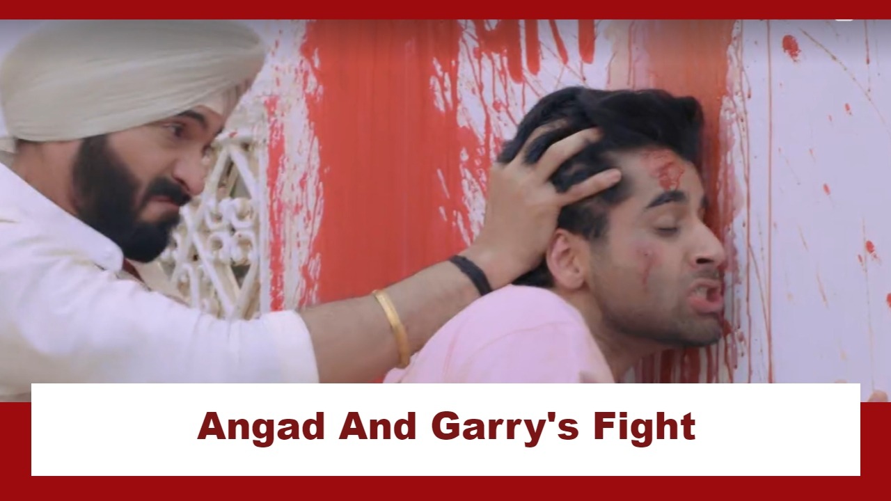 Teri Meri Doriyaann Spoiler: Angad and Garry get into a nasty fight 875427
