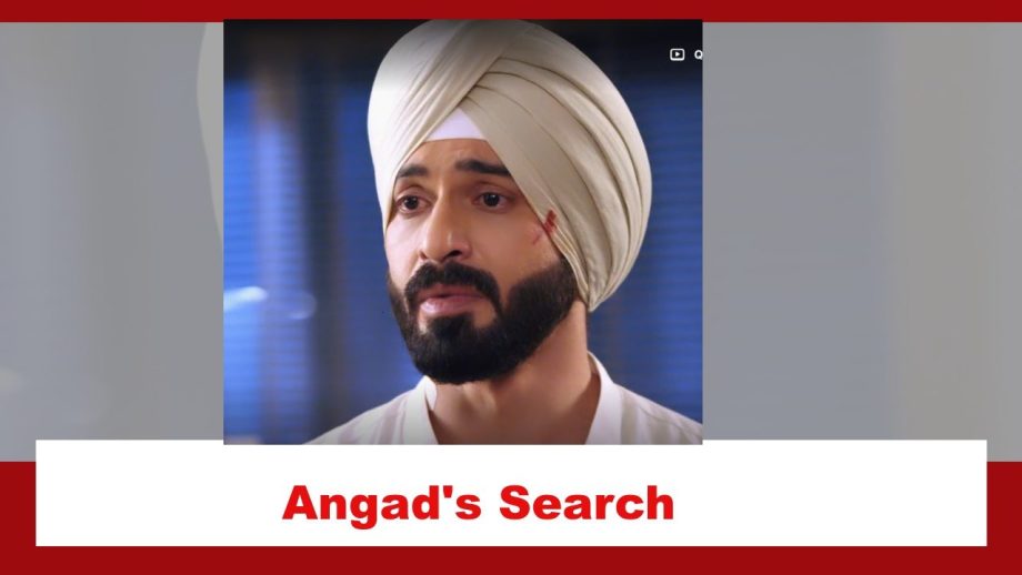 Teri Meri Doriyaann Spoiler: Angad to go on a search for the real diamond 876072