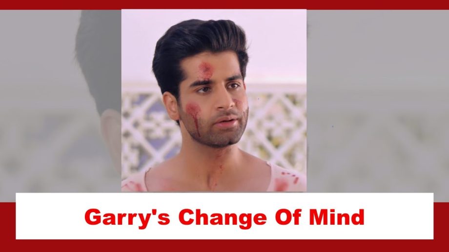 Teri Meri Doriyaann Spoiler: Garry has a change of mind? 875797