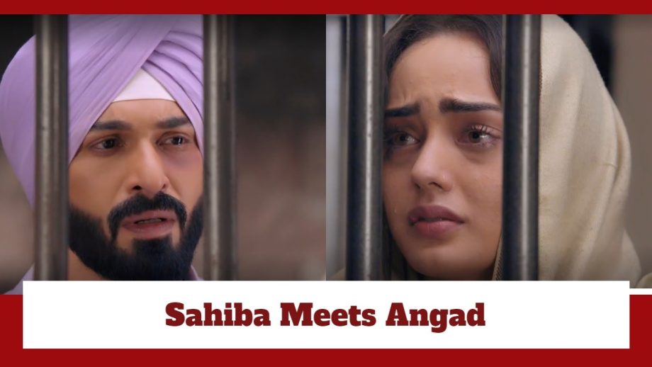 Teri Meri Doriyaann Spoiler: Sahiba meets Angad in jail 873981